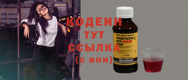 прущий лед Елизово