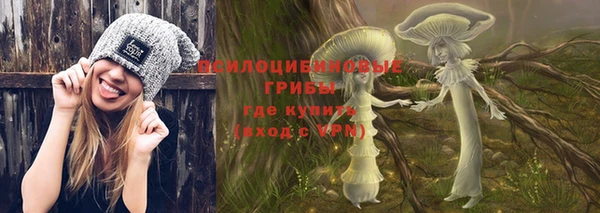 мяу мяу мука Ельня