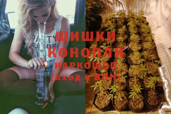 мяу мяу мука Ельня